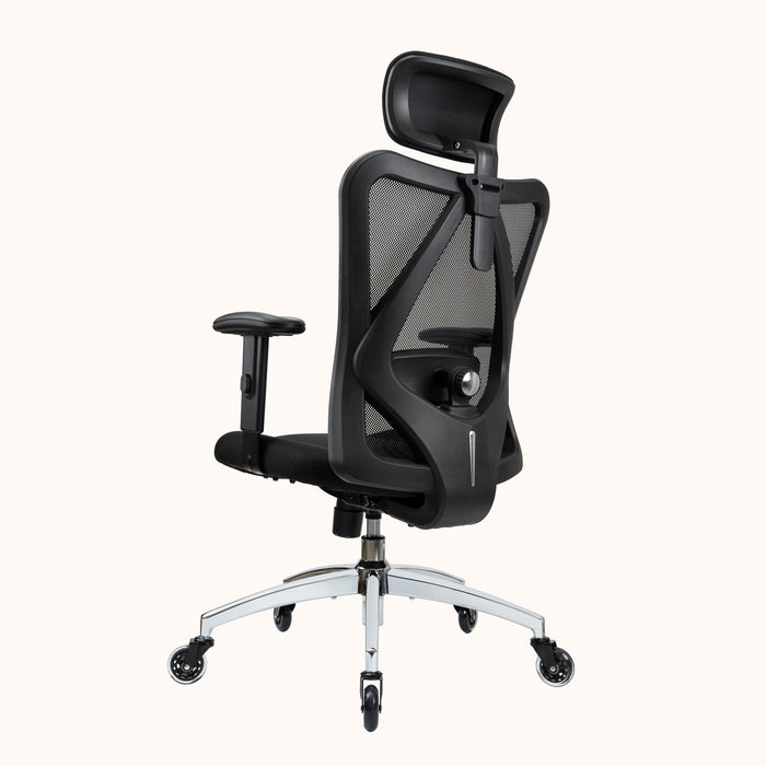 Duramont Ergonomic Office Chair